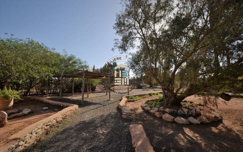 Camping-Caravaning (10)